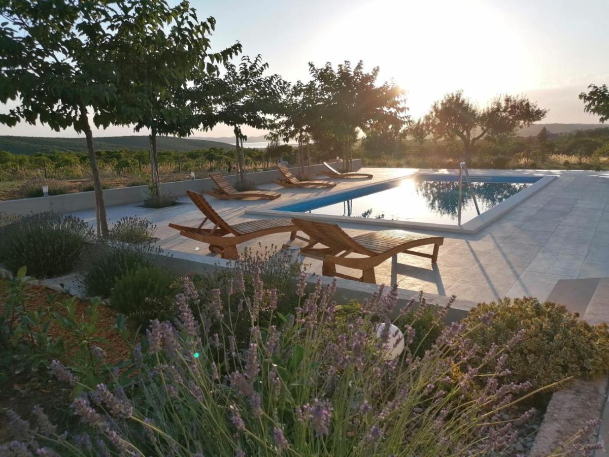 Villa Jelena Ζαντάρ Εξωτερικό φωτογραφία